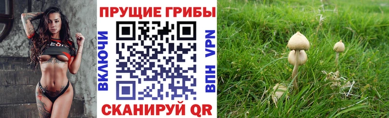 наркота  KRAKEN ССЫЛКА  Псилоцибиновые грибы Psilocybe  Старый Крым 